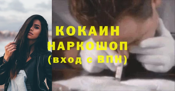 кокс Няндома