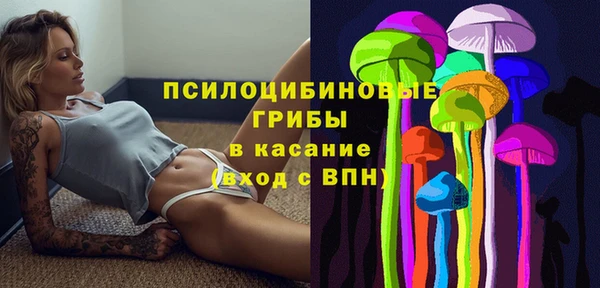 прущие грибы Нязепетровск
