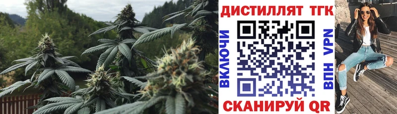 мориарти Telegram  Уфа  ТГК Wax  купить  сайты 
