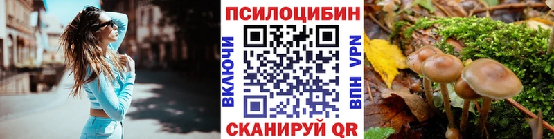Псилоцибиновые грибы Psilocybe  Уфа 