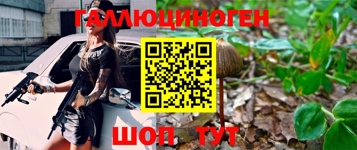 Псилоцибиновые грибы Psilocybe  Псилоцибиновые грибы Psilocybe  Уфа  Вход с VPN 