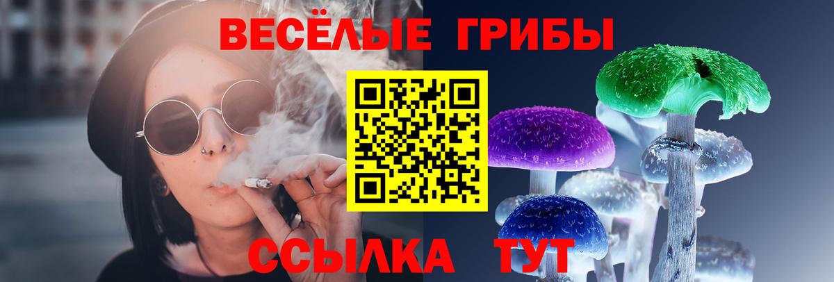 Псилоцибиновые грибы GOLDEN TEACHER Уфа